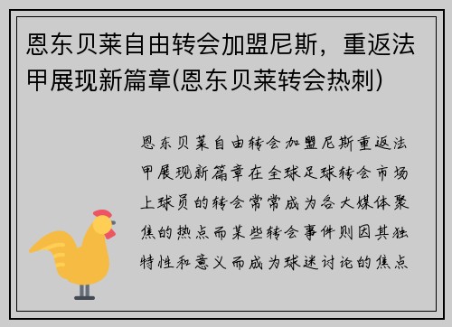恩东贝莱自由转会加盟尼斯，重返法甲展现新篇章(恩东贝莱转会热刺)