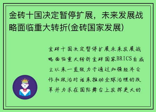 金砖十国决定暂停扩展，未来发展战略面临重大转折(金砖国家发展)