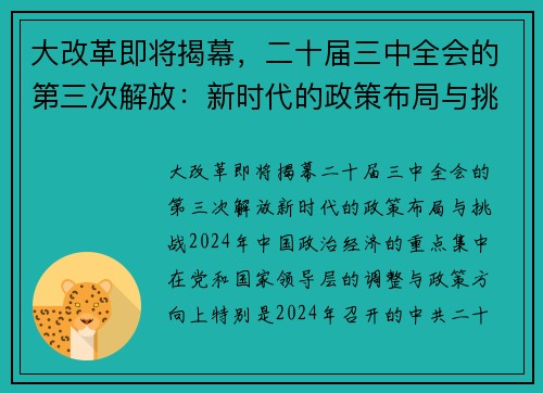 大改革即将揭幕，二十届三中全会的第三次解放：新时代的政策布局与挑战