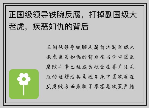 正国级领导铁腕反腐，打掉副国级大老虎，疾恶如仇的背后