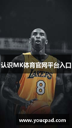 认识MK体育官网平台入口